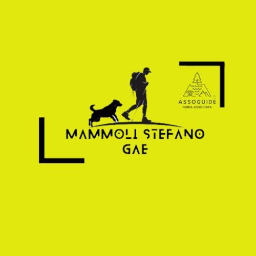 הוילה אקוואספרטה Casa Ernesto-Amica Dei Ciclisti מראה חיצוני תמונה